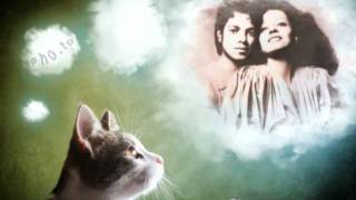 Tribute to DIANA ROSS stay with me