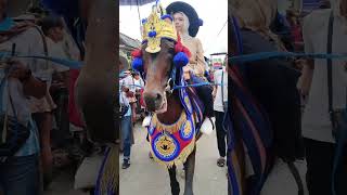 Download lagu si Juve #kudarenggong mp3