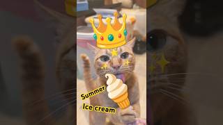 2026/6/17_109 貪吃SV #橘ひなの #橘貓 #橘猫 #貓咪日常 #cat #cute #貓貓日常 #貓貓 #可愛い猫 #貓咪
