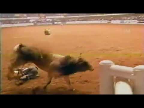 Rotten Cotten bucks Brian Herman - 04 PBR Fort Worth