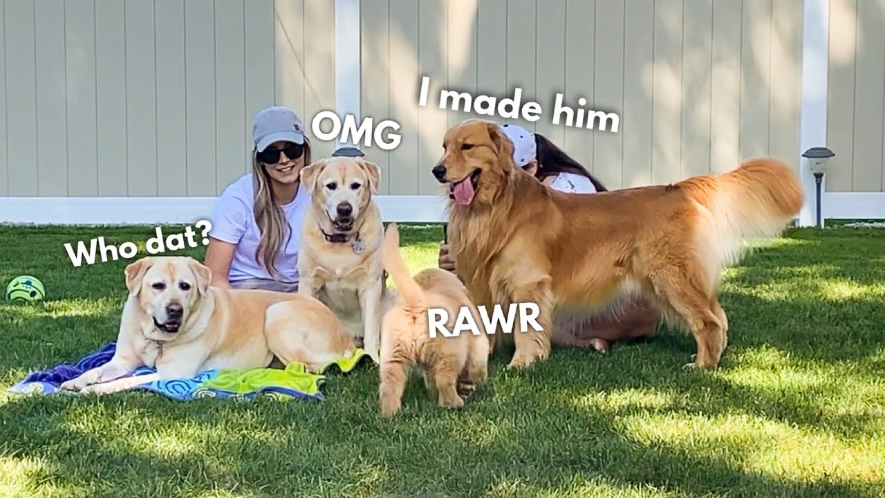 A Trip to Grandma's House