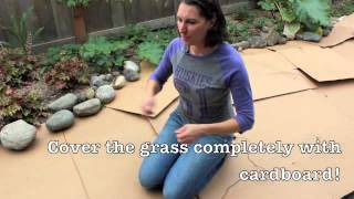 Using Sheet Mulch to Kill Grass