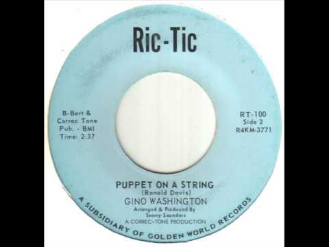 Gino Washington Puppet On A String