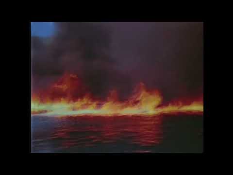 thug x fiktiv - pali się nasz świat