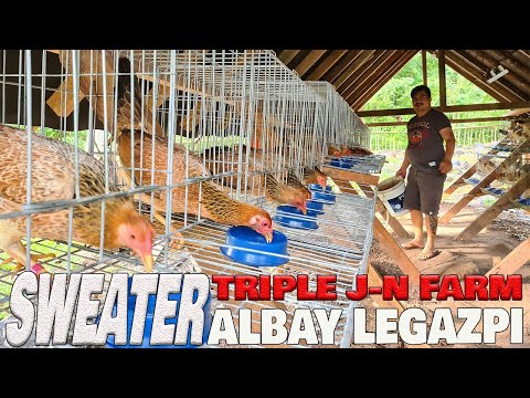 Beautiful BRUCE BARNETT SWEATER Triple J-N Farm Visit