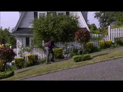 Pedigree Dog Commercial