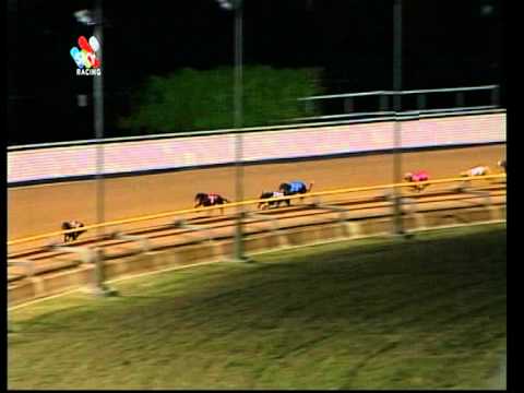 2001 Australian Cup - Brett Lee