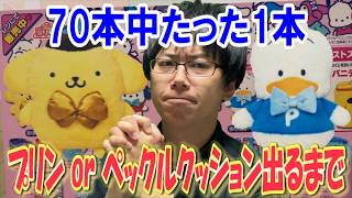 【サンリオくじ】確率70分の1の壁を越えろ！サンリオキャラクター大賞でトップに輝いた最推しポムポムプリンorジャンプアップしたペックルクッション出るまで引き続ける！【sanrio/当りくじ/一番くじ】