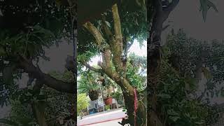 Download lagu #songlyrics #music mp3 Download lagu #songlyrics #music mp3