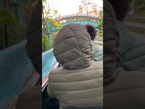 Liseberg Flume Ride Haloween