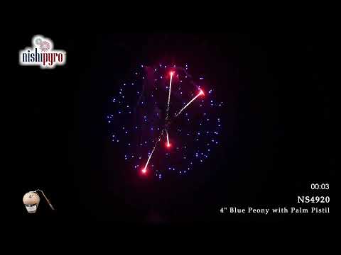 NS4920 - Blue Peony with Palm Pistil