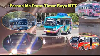 Download lagu PESONA BIS TRANS TIMOR RAYA NTT 2025//PIKNIK DI KOBONG VOC.Ricky Pangkerego mp3