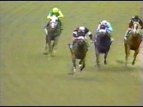 2000 Dwyer Stakes