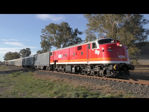 Diesel locomotive 42103 on Blue Zephyr to Werris Creek 8-2019