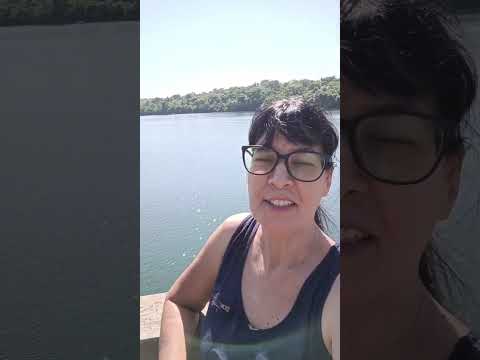 DICA INFALÍVEL: FALE ISSO P/ TER #ABUNDÂNCIA EM SUA VIDA #liliarosa #pontepensil #short #chavantes