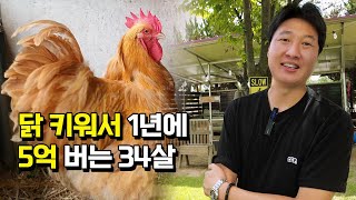 관상닭으로 창업해서 일년에 5억버는 34살 청년농부