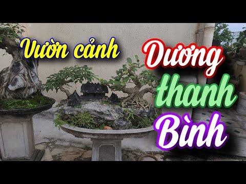 SH.5843.Thăm vườn cảnh đẹp Dương Thanh Bình phường Phúc Thắng tp Phúc Yên Vĩnh Phúc.Đth 0913.553.293