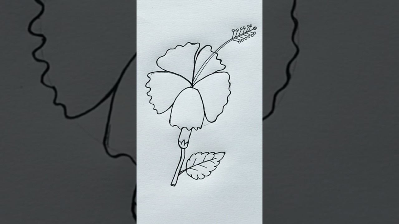 How to Draw Hibiscus Flower | Hibiscus Flower Drawing  Easy for Kids | #shorts #art #drawing