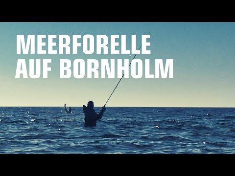 Sea trout fishing on Bornholm. Fishing in Denmark. Holidays on Bornholm