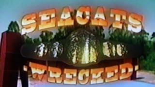 SEACATS - "WRECKED" (OFFICIAL MUSIC VIDEO)