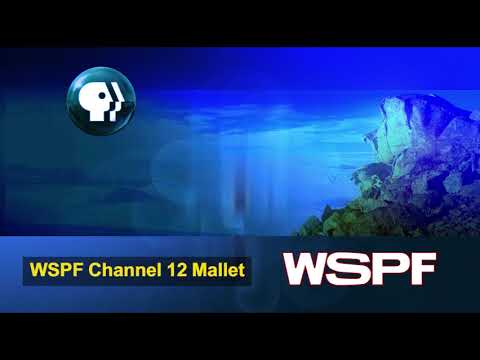 WSPF Ident 2014 (Rare)