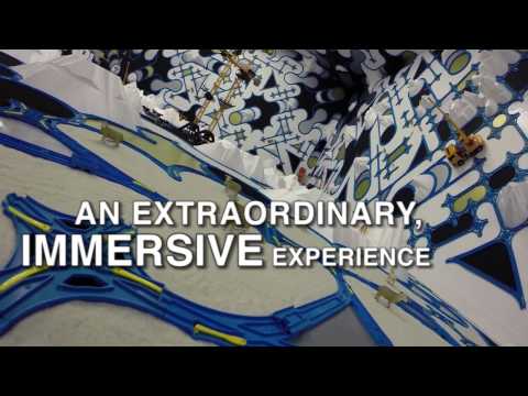 PARAMODELIC GRAFFITI at the John Curtin Gallery