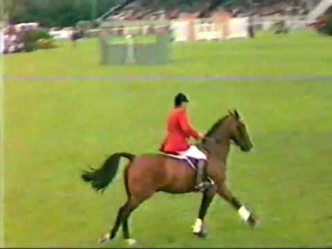 Thomas Fruhman & Arizona, Hickstead