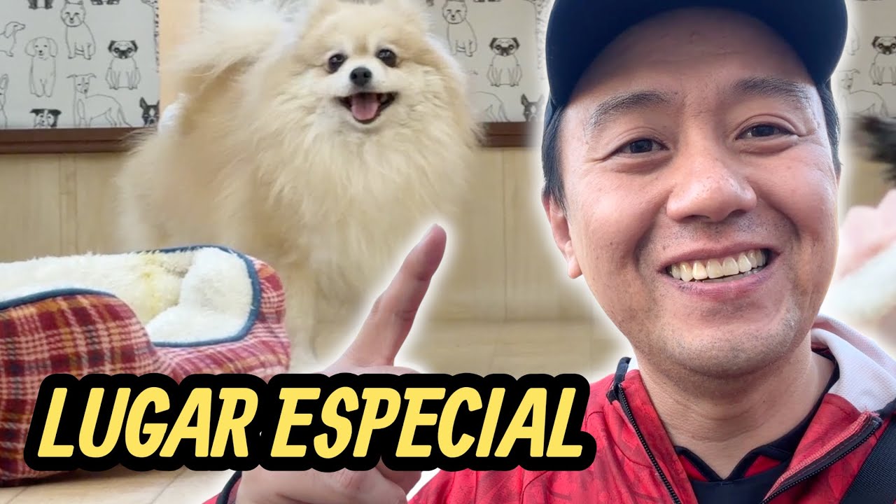 CANTINHO PET FRIENDLY EM TOYOHASHI | NA FOLGA 632