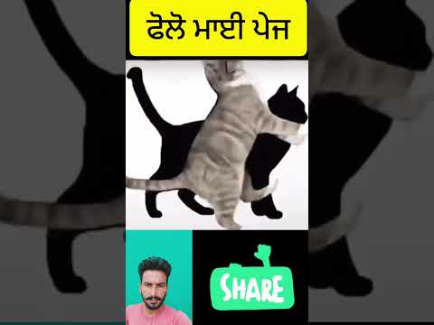 90%fail #funny #viral #funnyclips #video #funnyvideos