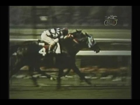 JAIPUR - Documentary