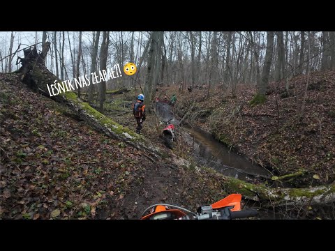 Leśnik nas gonił, KTM ryczy jak dziki i było MOCZONKO w wąwozie! 🤣  Enduro po remoncie!