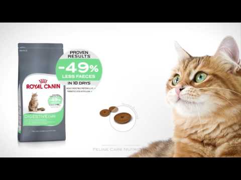 Royal Canin Digestive Care 10kg video