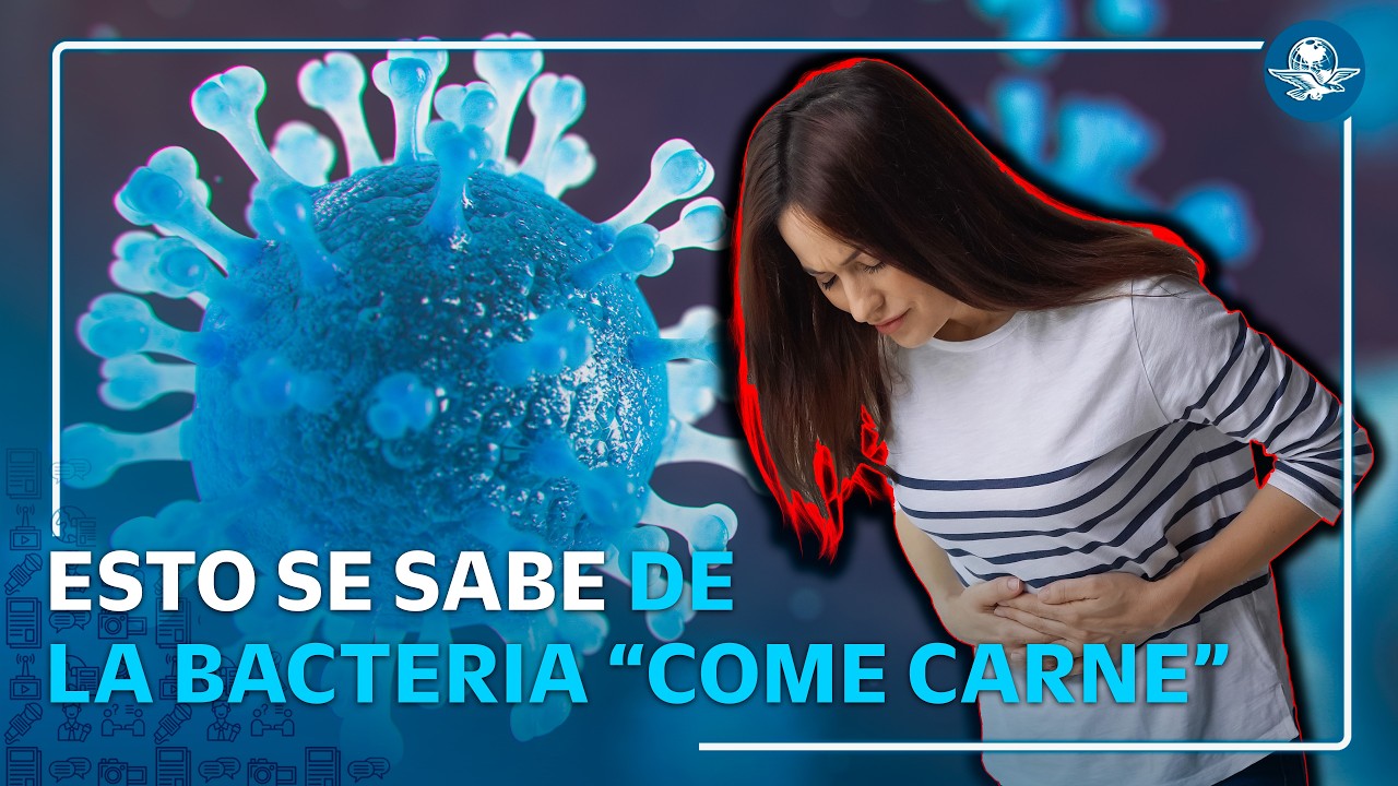 ¿Bacteria “come carne” llega a México? Estos son los síntomas y riesgos de este microorganismo