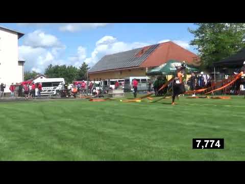 SDH TATOBITY - JL LIBUŇ 2022