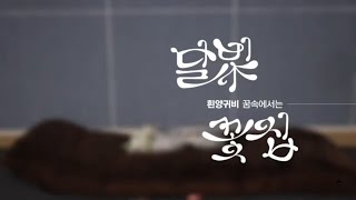 2026년 7월 넷째 주 마디영상 이미지