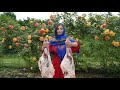 Mix of Awsome IRAN Rural Lamb Recipes ♧ Traditional Delicious Village Cooking