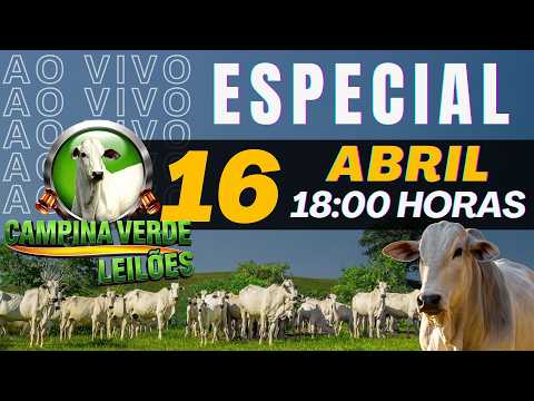 Campina Verde Leilões ESPECIAL - 16 de Abril 2026