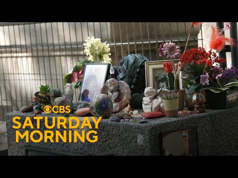 Why this Paris cemetery is a must-see attraction