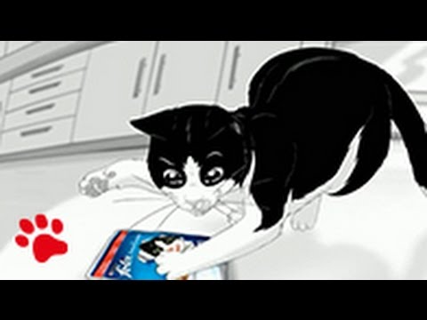 Purina FELIX Le GHIOTTONERIE e snack per gatti Party Mix e Crispies