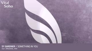 Sy Gardner - Something In You (Original Mix)