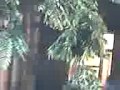 Movie In Mmu Appan Fer Milange