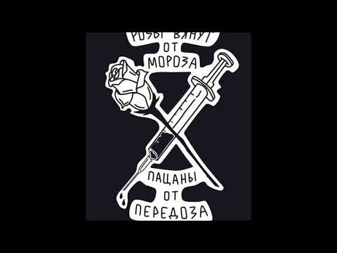 feduk x folkpro — на этаже