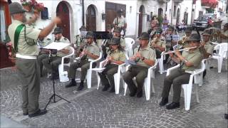 preview picture of video 'Fanfara Alpini di Sant'Agapito Isernia, Scontrone 11 8 2014'