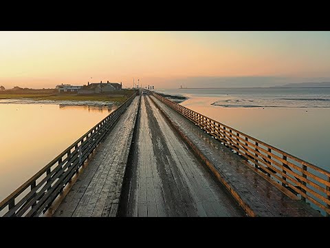 System 7, Supercozi, Gus Till - Chill Dome Refugees 2020 | Chill Space