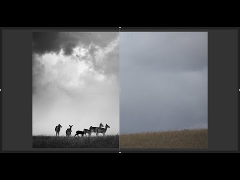 Editing moments with darktable 2.6.2 Episode 18: Vigilance