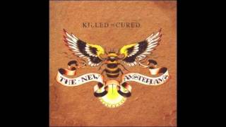 The New Amsterdams - Maybe I'm A Fool