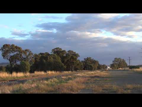 SRHCs  T357 / S303 & C501 at Balmattum Siding 15.4.2021
