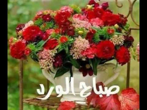 كلام صباح ومساء بالصور Video