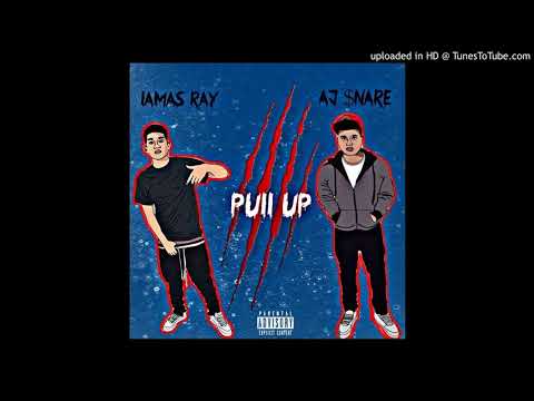 Lamas Ray x Aj $nare pull up