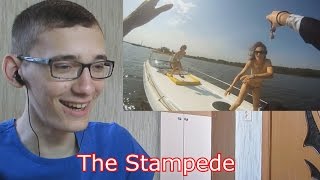 The Stampede - ( РЕАКЦИЯ )